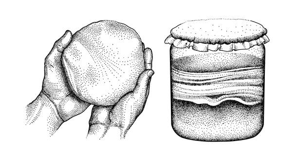 SCOBY